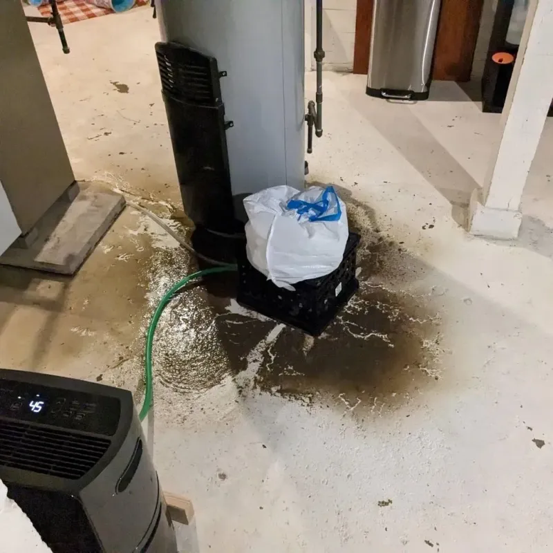 Sewage Backup Cleanup Service in Shandon, CA